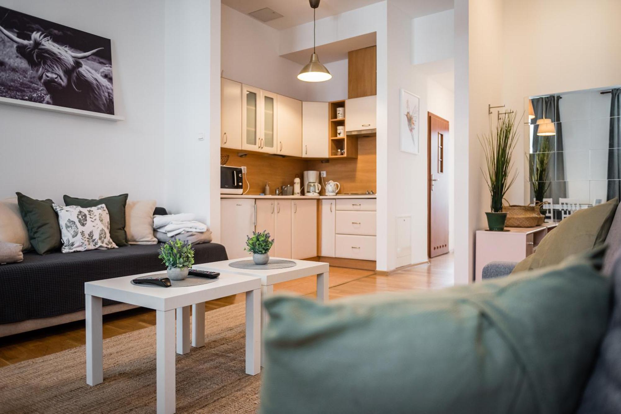 Apartment Krakowska Center Wawelofts Krakow