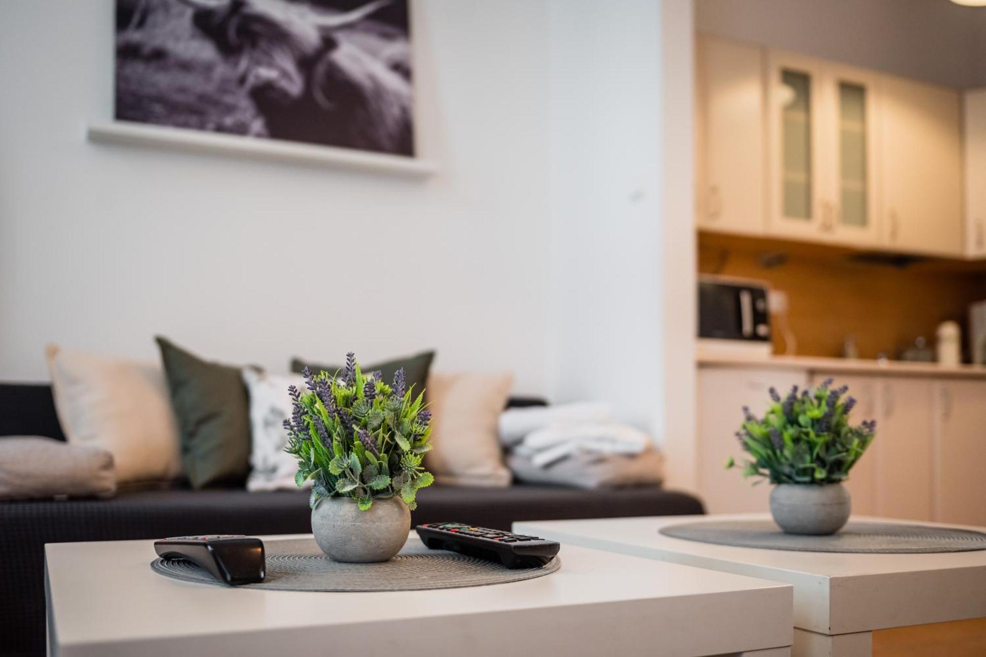 Apartment Krakowska Center Wawelofts