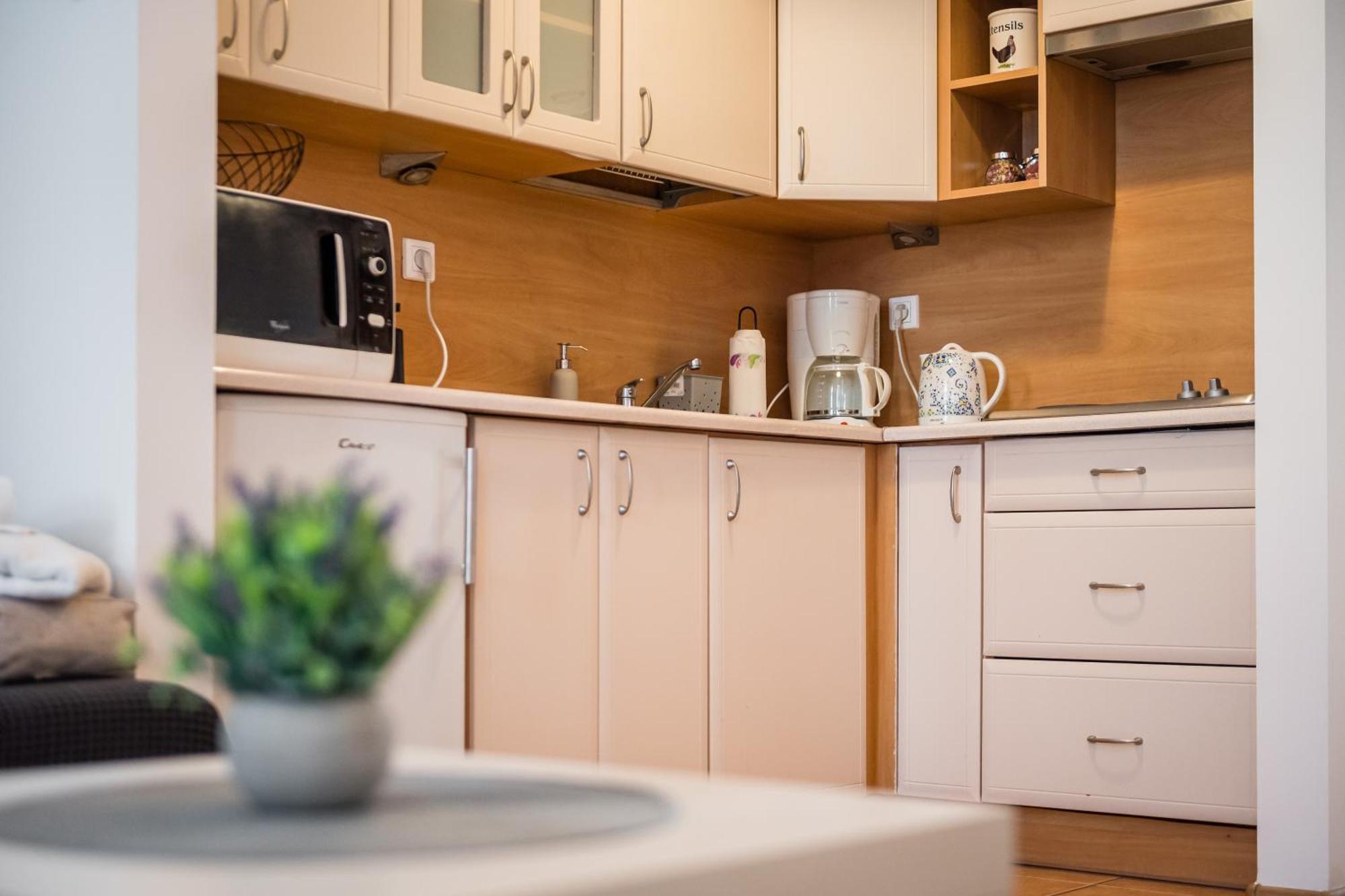 Apartment Krakowska Center Wawelofts *